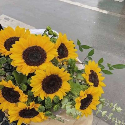 北单足球比赛结果sp值