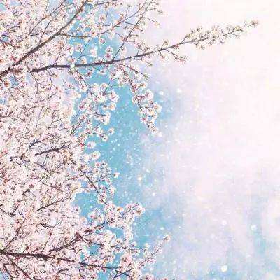 yabo手机版官网登录