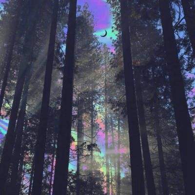 ManBetX登录网页版