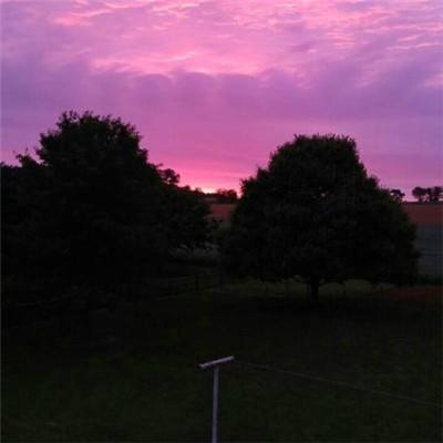 百姓彩票Welcomeapp下载