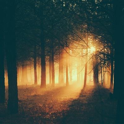 pg电子娱乐官网游戏手机app下载